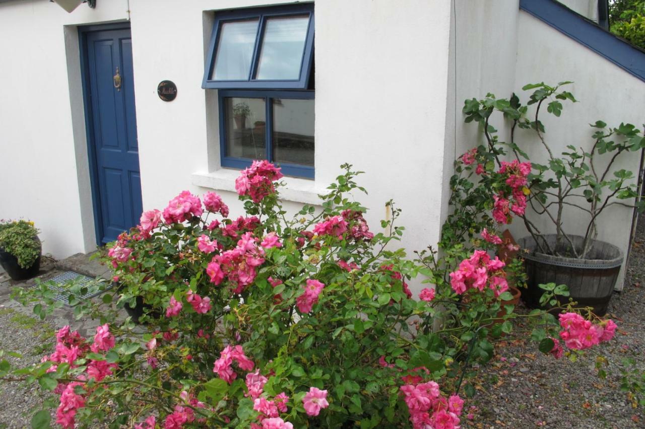 Villa Muckle Flugga Goleen Exterior foto